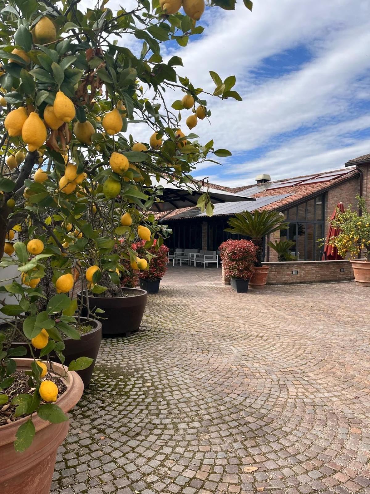 Agriturismo La Sapienza Monestirolo Exterior photo