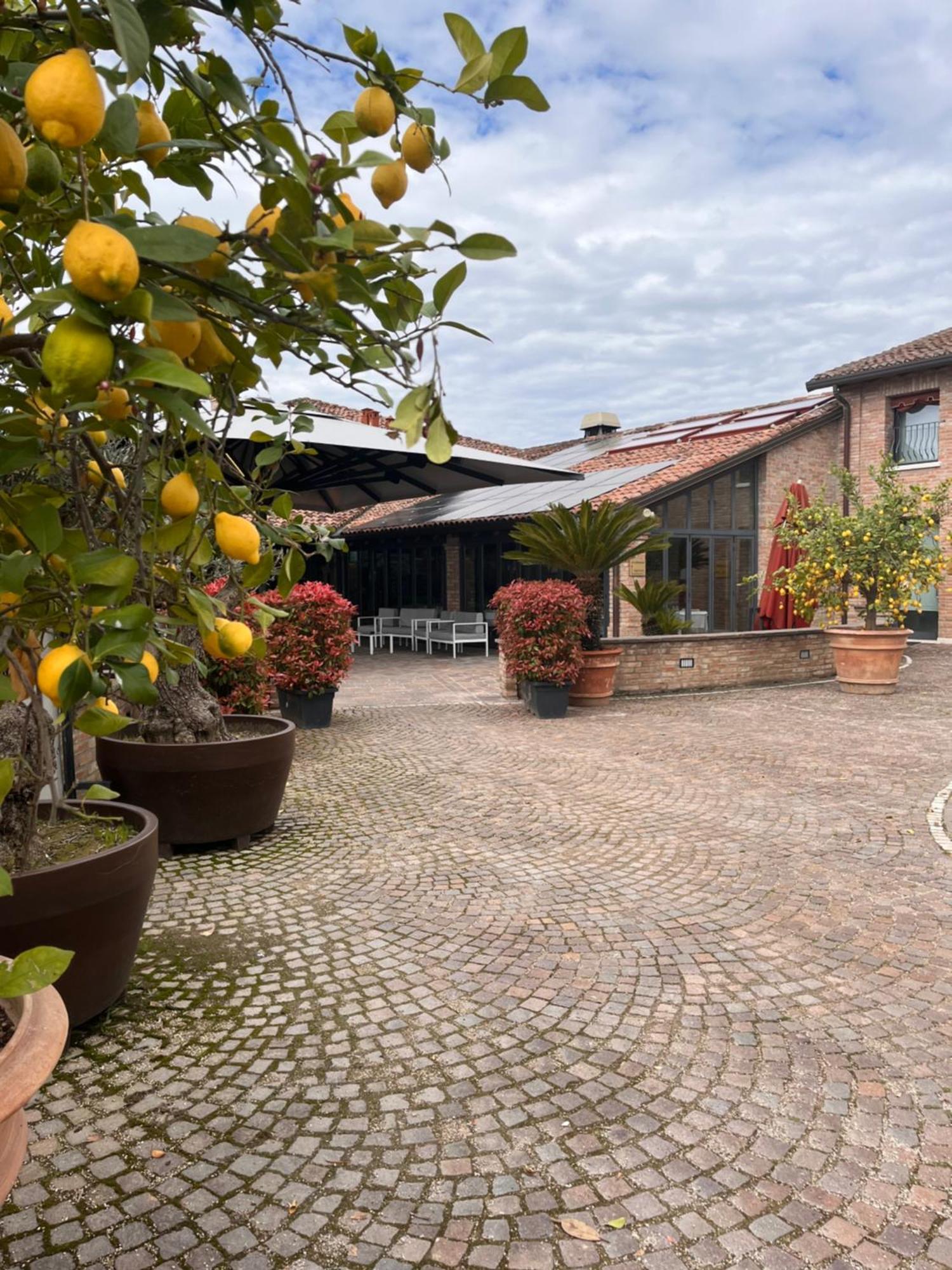 Agriturismo La Sapienza Monestirolo Exterior photo