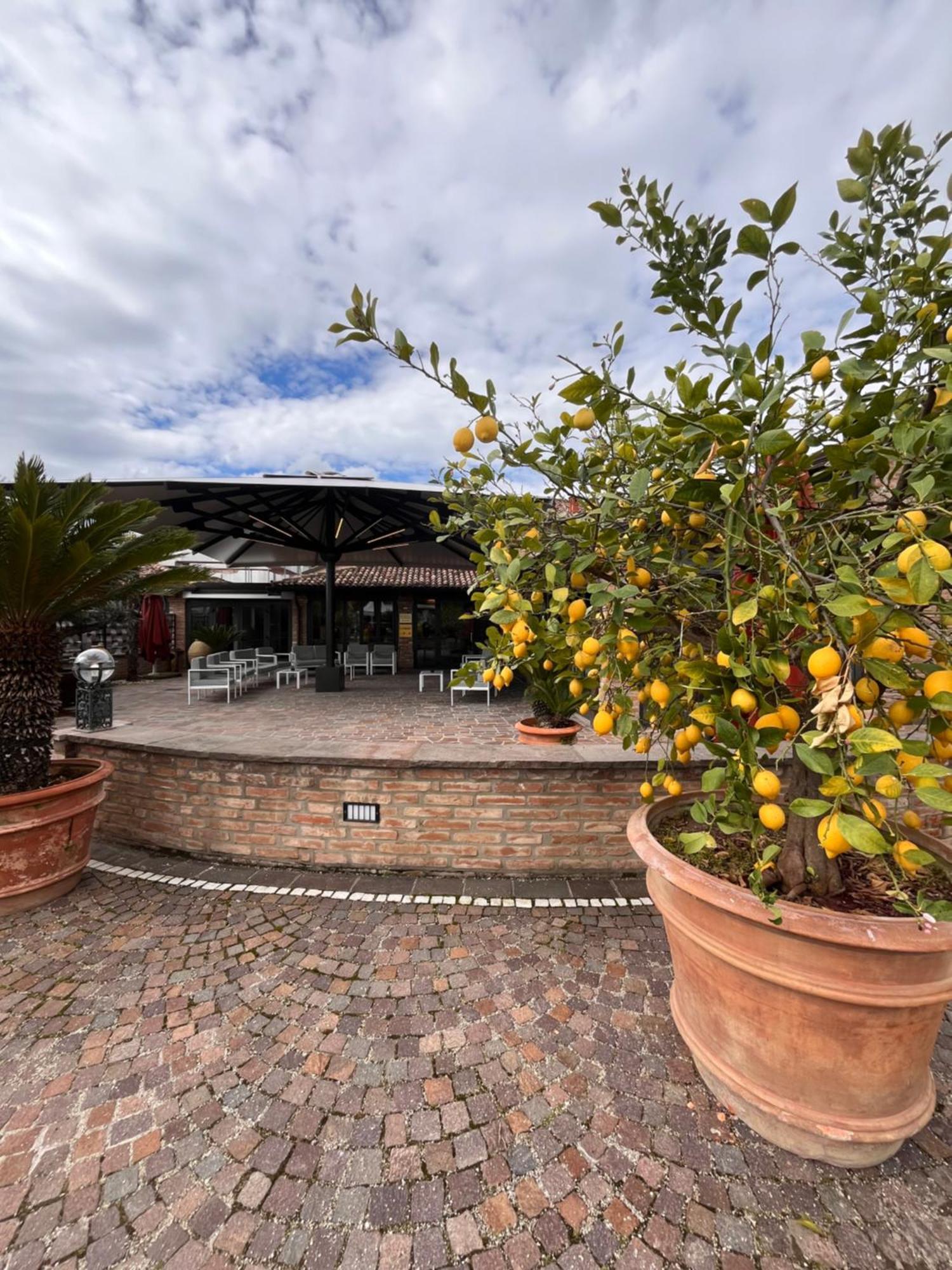 Agriturismo La Sapienza Monestirolo Exterior photo
